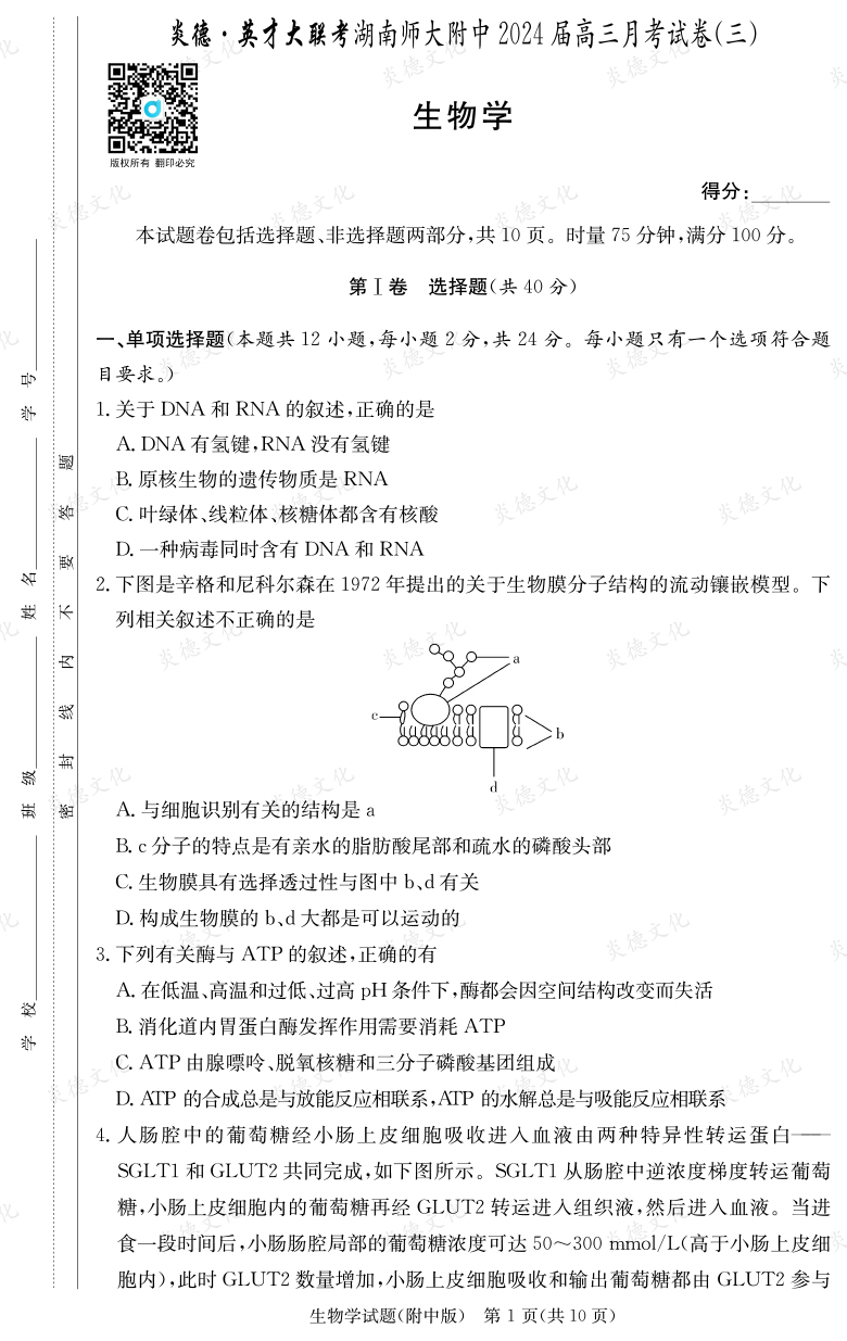 [生物]炎德英才大聯(lián)考2024屆湖南師大附中高三3次月考